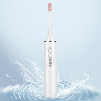 China Water Intake Design 2 In 1 Two Modes Portable Oral Irrigator Water Flosser And Sonic Electric Toothbrush for sale