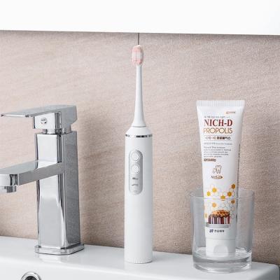 China Outdoor Oral Hygiene Tools Water Flosser And Electric Dental Toothbrush Calculus Remover for sale