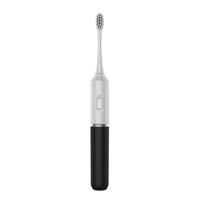 China Household Sonic Electric Toothbrush With Brush Heads Electric Toothbrushes For Adults And Children for sale