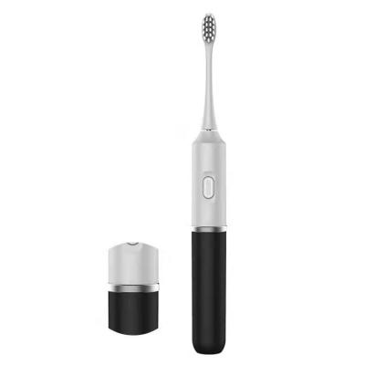 China New Dupont Bristle Style Sonic Toothbrush Detachable Body For ABS+ Waterproof Portability Electric Toothbrush for sale