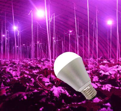 China Indoor Garden Green House 5w 7w 9w Led Grow Light Bulb For Indoor Garden Green House for sale