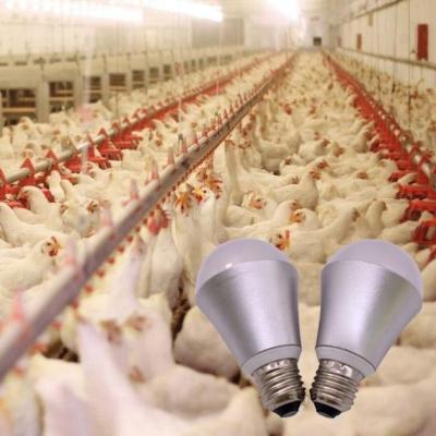 China Chicken Poultry Farm IP67 10W E17 Waterproof Low Dimmable 0-100% Poultry Barn Lamp for sale