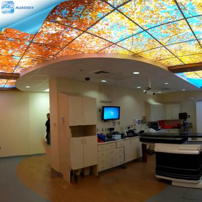 China Modern Led Skylight Panel Lamp AUXOSKY Manufacturer with Blue Sky, Clouds, Beach and Palm Trees as Factory's Main Business for sale