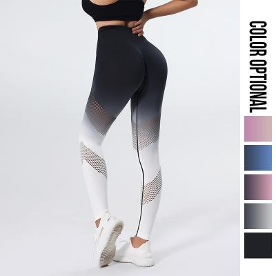 China Breathable Quick-drying Gradient Hollow Color Hip-Rising High Waist Yoga Fitness Pants Long Yoga Pants for sale