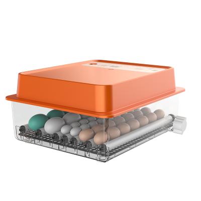 China 36 farms chicken eggs mulit-bird egg tray incubator price in Uganda for sale for sale