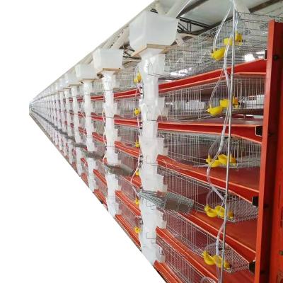 China Automatic Farms Cage Quail Quail Breeding Cages Quail Cage for sale