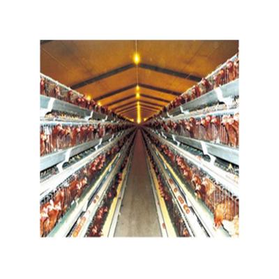 China Hot Dip Galvanizing Process Poultry Farm Equipment Chicken Layer Cages For Sale With Free Design Layer Poultry Cages for sale