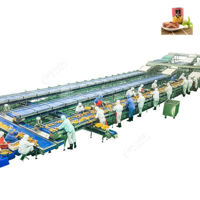 China Customizable High Capacity Pet Food Box Manufacturing Process Line Tuna Canned Dog Food Filling Machinery for sale