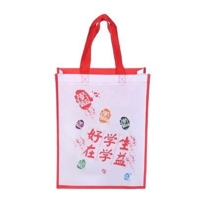 China PP Rope Handle Custom Printing PP Laminated Shopping Non Woven Bag for sale