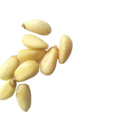 China Consumer Factory Suppliers Supply Peeled Pine Nuts Cores With Vucuum Package for sale