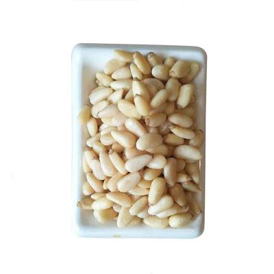 China Red Cedar Pinenuts Chilgoza Pine Tree Seeds of Consumption Pine Nuts for sale