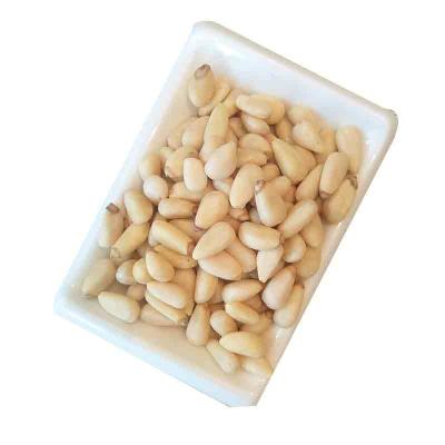 China Wholesale 100% Consumption Organic Red Pinenut Kernels 750 Counts Pine Nuts for sale