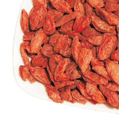 China Dry Dried Goji Berry Healthy Dried Fruits Wolfberry good for men for sale