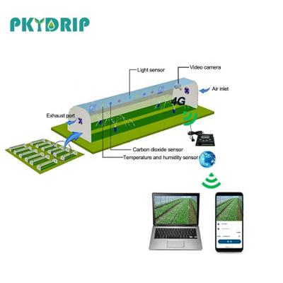 China Smart Agriculture Greenhouse Agricultural Greenhouse With App Intelligent Control System Automatic Drip Irrigation for sale