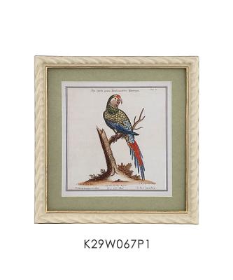 China Traditional PARROT BIRD WALL DECORATION PLAQUE WITH T.A.O PANEL AND RESIN FRAME ANIMAL DECOR for sale