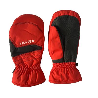 China Anti-Slip Winter Ski Mittens for Men and Women - Warm Adult Snow Mittens for Cold Weather for sale