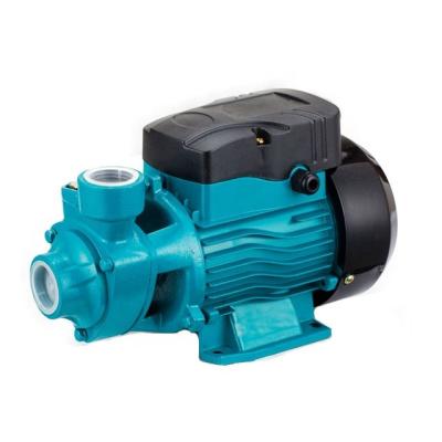 China QB60 High Efficiency Pump 110V/220V 60Hz Electric Water Pump With Dual Voltage for sale