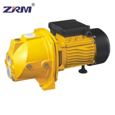 China Farm Family Homes Low Nosie Centrifugal Self-suction Pump High Quality Irrigation High Flow for sale