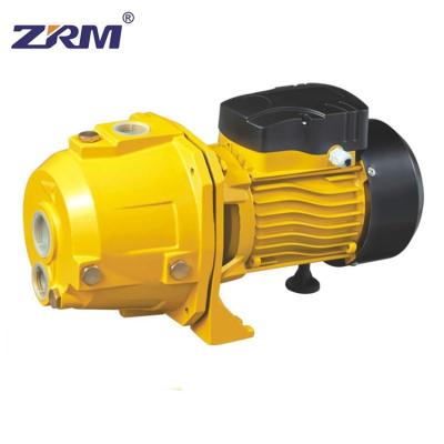 China Low nosie 220v/50hz 1hp 0.75kw Low Noise Industry Agriculture Irrigation Use Self Priming Jet Water Pump for sale