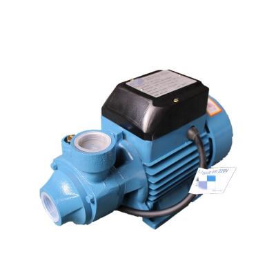 China Family Houses Low Pressure High Performance QB60 110V Small Peripheral AC Water Pump for sale