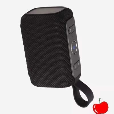 China Seed Outdoor Portable Waterproof Wireless Top Noise Smart Speaker Outdoor Speaker for sale