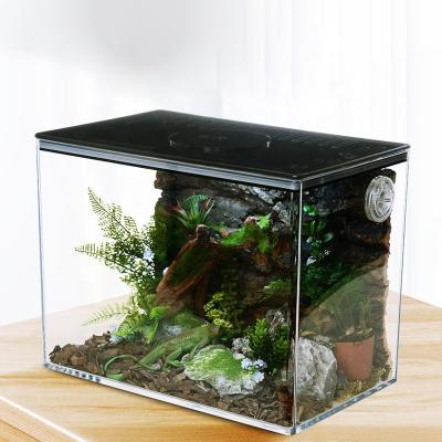 China HD Viable Explosion-proof Acrylic Feeding Box With Adjusted Three Gears Light For Reptile Tortoise Spider Snake Lizard for sale