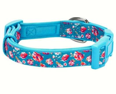 China Amazon Sustainable Premium Polyester Webbing Padded Soft Neoprene Dog Training Collar Custom for sale