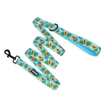 China Custom OEM Personalized Custom Pattern Durable Soft Grip Padded Polyester Dog Leash for sale