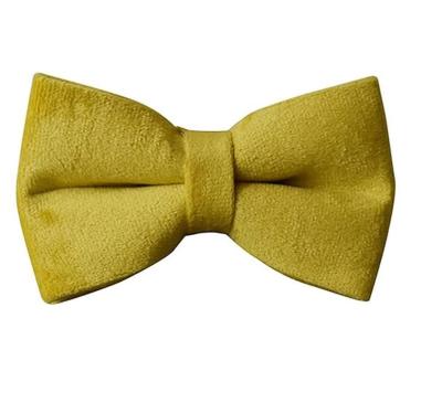 China New Sustainable Released Luxurious OEM Amazon Velvet Dog Accessories Bow Tie Custom For Small , Medium Dog for sale