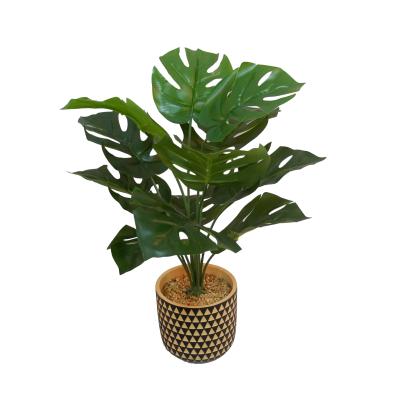 China Factory Direct Selling Decorative Artificial Plant Large Turtle Minimalist Back Leaf for sale