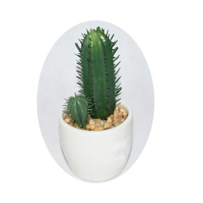 China Home Decoration Factory Direct Selling Green Plants White Cement Pot Cactus, Office Room Living Room Display for sale