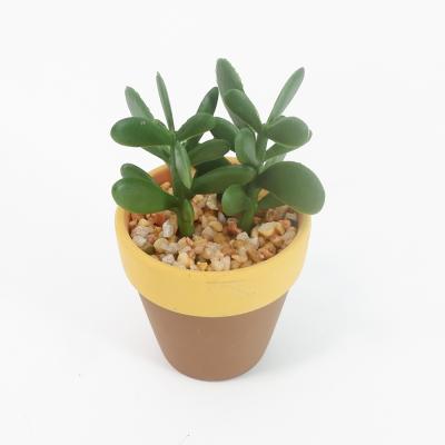 China Mini Wholesale Home Artificial Succulent Plant Decoration Plastic Material For Potted Plants for sale