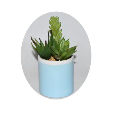 China Mini Desktop Home Office Decoration Plant Artificial Ceramic Succulent Pot for sale