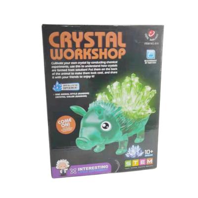 China Interesting New DIY Crystal Workshop Educational Toys Learning Toys Teaching Toys For Children for sale