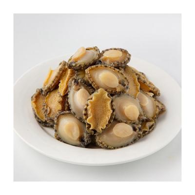 China Rich Flavor Custom Bag Packaging Abalone Delicious Frozen Abalone Meat Free Shipping-Big Sale for sale