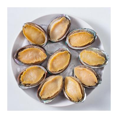 China Transport-Big Free Seafood Marine Snail Frozen Abalone In Shell Glazed Paua PowYu for sale