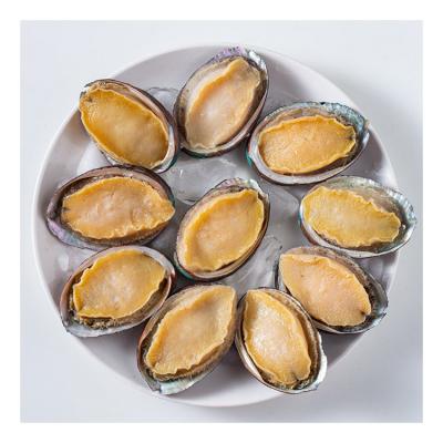 China Free Shipping Wholesale-Rich Flavor Abalone Shell Frozen Polished Abalone Shell For Sale for sale