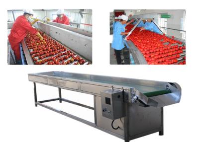 China Linha de processamento automática CE preciso alto das frutas e legumes aprovado à venda