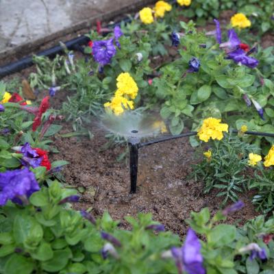 China Picture Shows Ray/centrifugal Transplanting Potted Crops Adjustable Range Sprinkler Irrigation Micro for sale