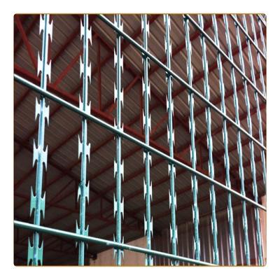 China Easily Assembled Hot Dipped Galvanized Welded Razor Wire Mesh Fence for sale