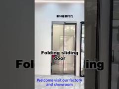 Aluminum PT Door