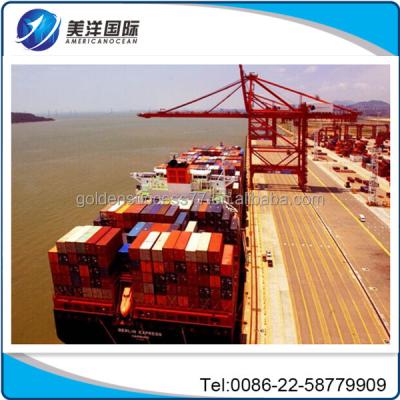 China Experienced Hot FCL/LCL Ocean Freight Forwarder To USA/Canada/Europe From Tianjin Port 20GP/40GP/40HQ for sale