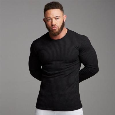 China QUICK DRY Long Sleeve Muscle Fitted T Shirt Gym Autumn Winter Sportswear Men for sale