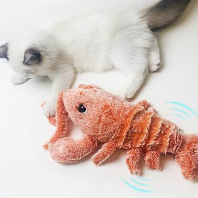 China New Design Cats Electronic Lobster Cat Toy Hot Selling Interactive Training Toy For Cat Pet for sale