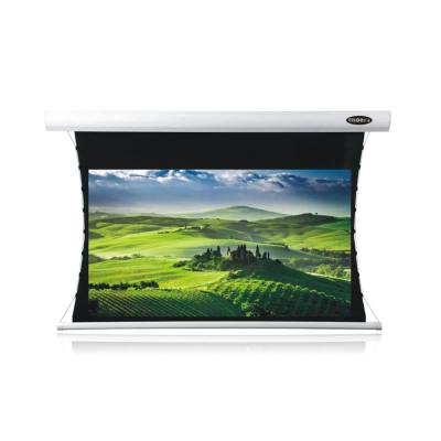 China Telon electric fog screen, high quality tab-voltage screen, projector screen price for sale