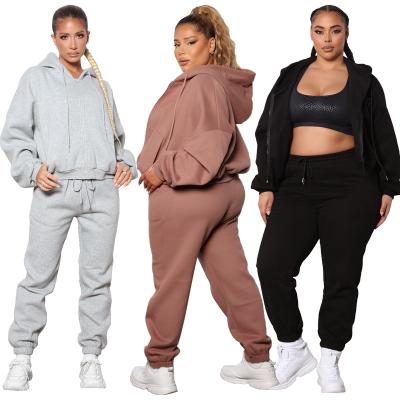 China Hot Sale Winter Washable Customize Plus Size Women's Long Sleeve Hooded Zipper Suit Loose Casual Hoodies for sale