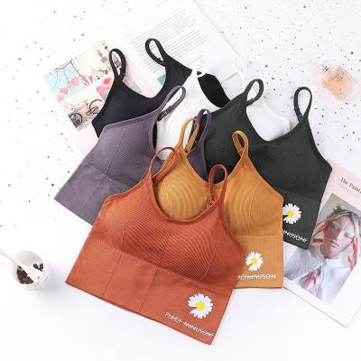 China Daisy Back Wraparound Underwear Sports Vest Inspired By Viable Popular Online Models Sports BraYoga Bra Strapless Tube Top Women for sale