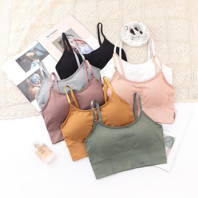 China Viable Beauty Derived Seamless Tube Top One Piece Strap Gathered With Chest Protection Sports Bra Women Bra Tube Top for sale