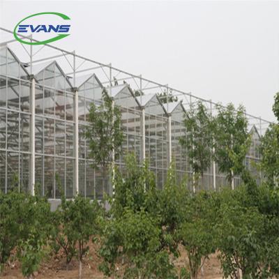 China Strong Multi-span Structure Twin-wall PC Polycarbonate Glass Greenhouse Hydroponics Greenhouse for sale