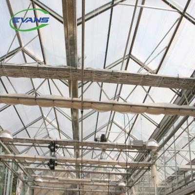 China Stable Structure Multi-span Polycarbonate Sheet Modern Intelligent Agricultural Greenhouses With Hydroponic Growing Systems for sale